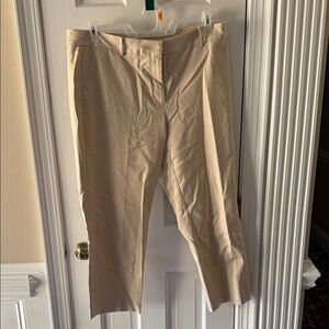 LOFT Tan Chinos - Straight Leg Men’s Pants